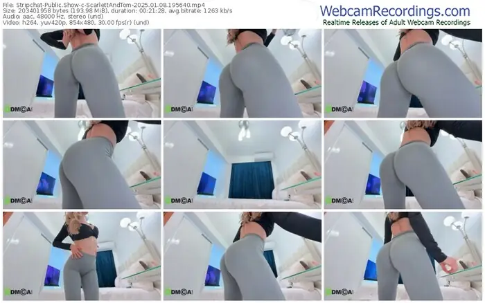 2025/01/08/stripchat-scarlettandtom-19-56-40