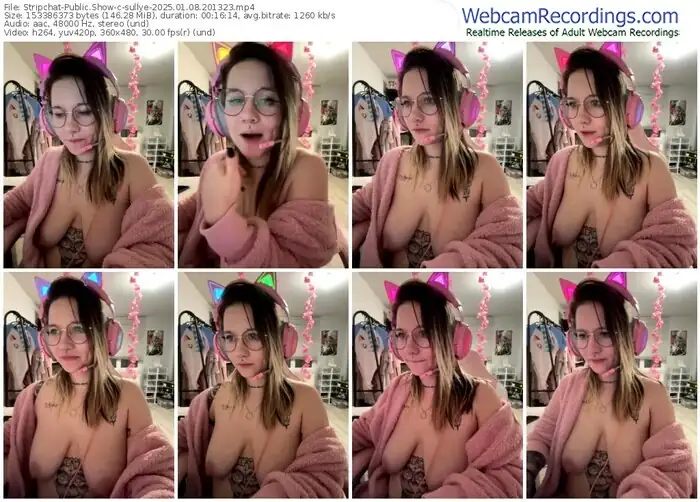 2025/01/08/stripchat-sullye-20-13-23