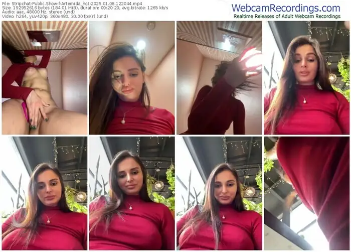 2025/01/08/stripchat-artemida_hot-12-20-44