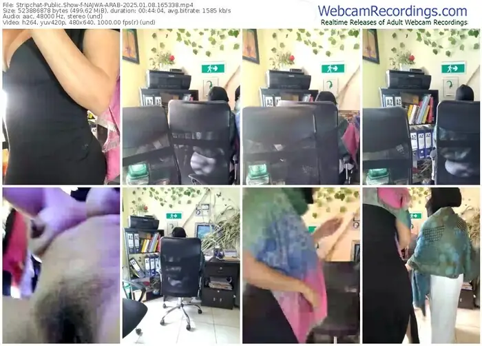 2025/01/08/stripchat-najwa-arab-16-53-38
