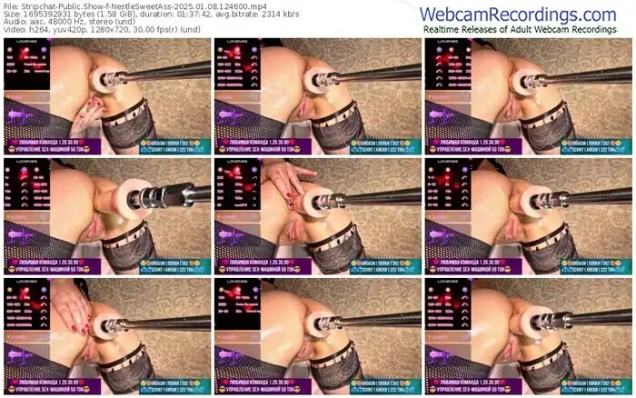 2025/01/08/stripchat-nestlesweetass-12-46-00
