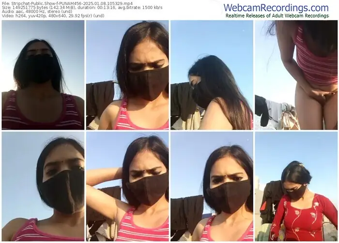 2025/01/08/stripchat-punam456-10-53-29