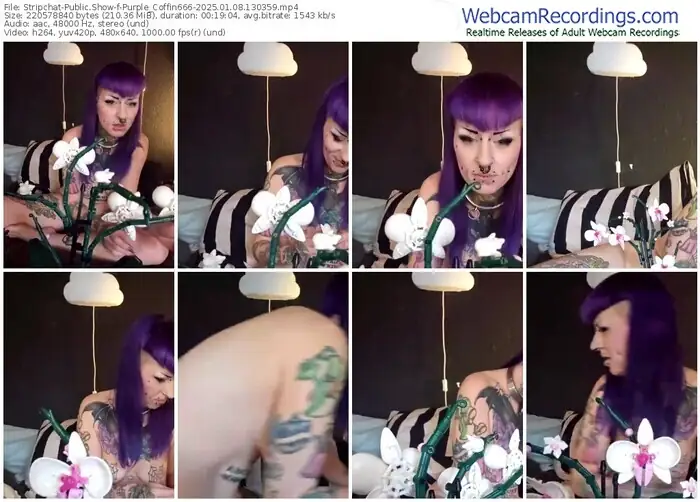 2025/01/08/stripchat-purple_coffin666-13-03-59