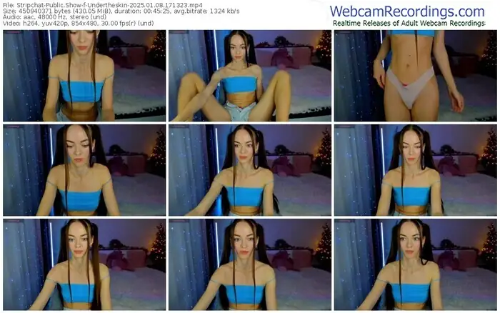 2025/01/08/stripchat-undertheskin-17-13-23