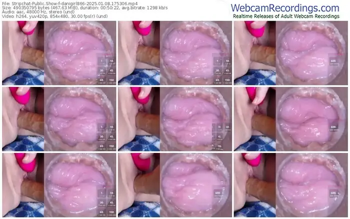 2025/01/08/stripchat-danigirl866-17-53-06