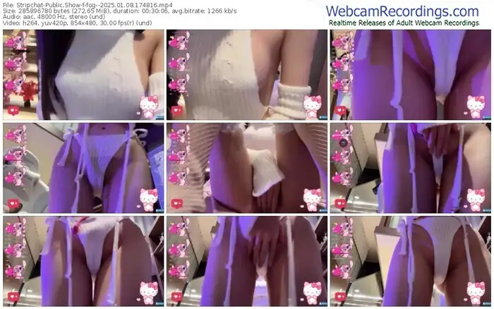 2025/01/08/stripchat-fog--17-48-16