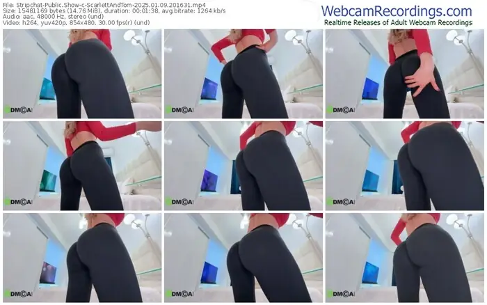 2025/01/09/stripchat-scarlettandtom-20-16-31