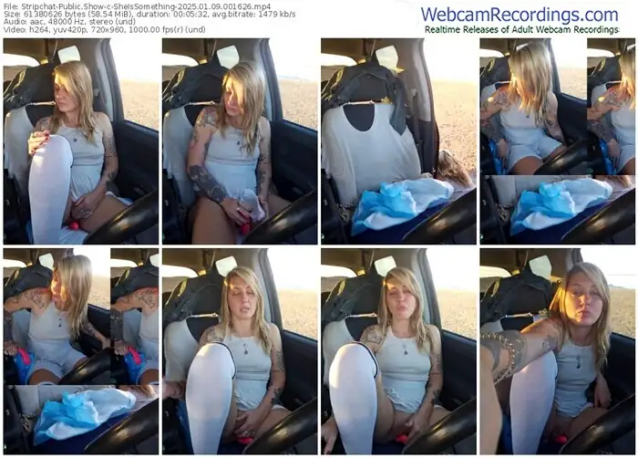 2025/01/09/stripchat-sheissomething-00-16-26