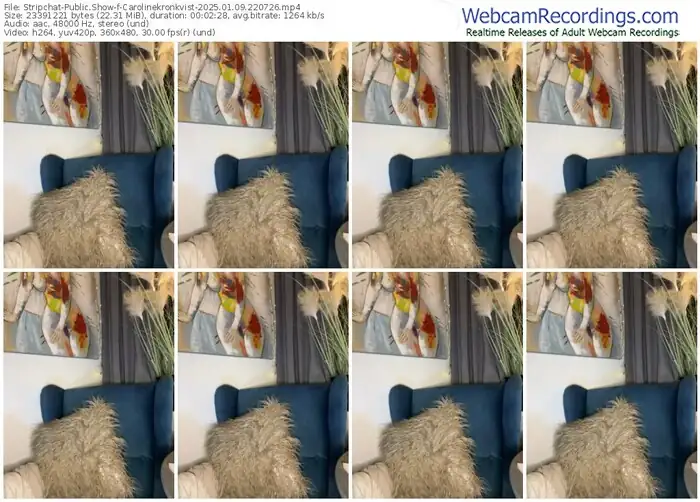 2025/01/09/stripchat-carolinekronkvist-22-07-26