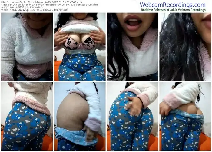 2025/01/09/stripchat-dalou3a69-01-47-45