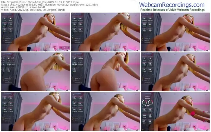 2025/01/09/stripchat-elis_fox-11-30-19