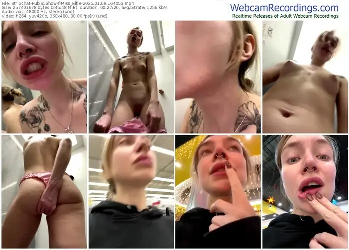 2025/01/09/stripchat-miss_elfie-16-40-53