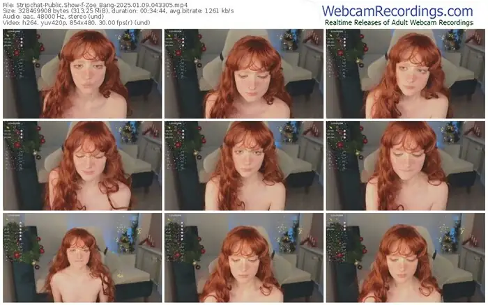 2025/01/09/stripchat-zoe_bang-04-33-05