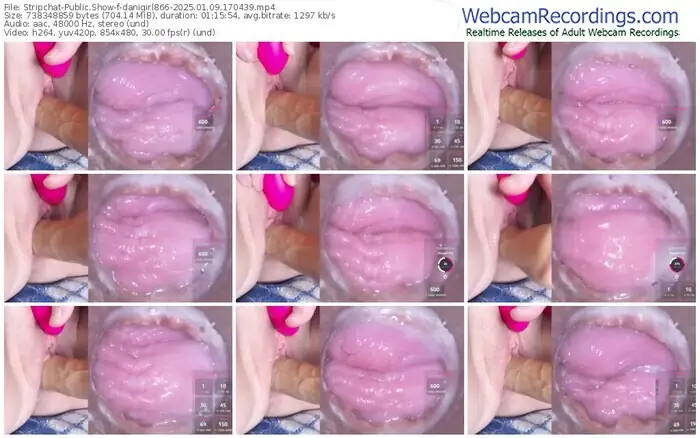2025/01/09/stripchat-danigirl866-17-04-39