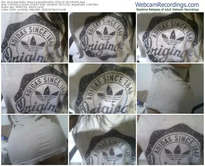 2025/01/09/stripchat-izanmiller2001-19-52-00