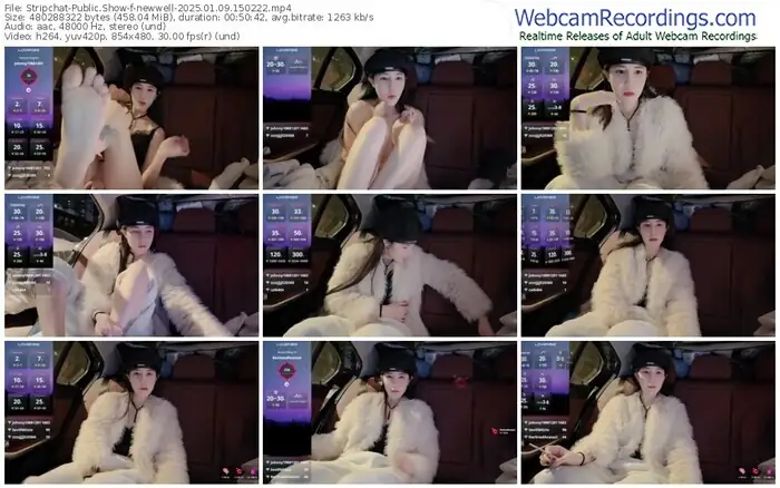 2025/01/09/stripchat-newwell-15-02-22