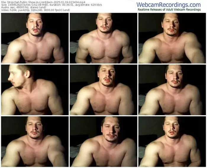 2025/01/09/stripchat-lionedwin-02-34-34