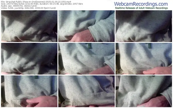 2025/01/09/stripchat-oraldesires2-21-13-55