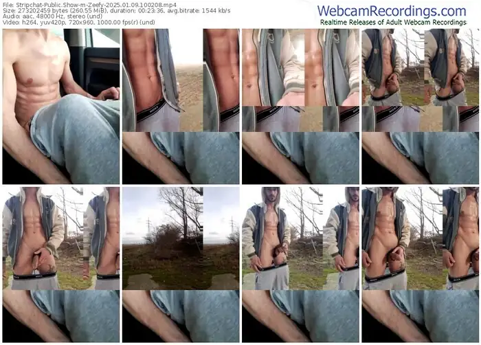 2025/01/09/stripchat-zeefy-10-02-08