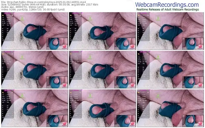 2025/01/09/stripchat-controlmytoys-14-05-51
