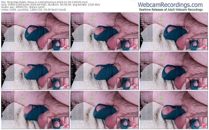 2025/01/09/stripchat-controlmytoys-19-00-35
