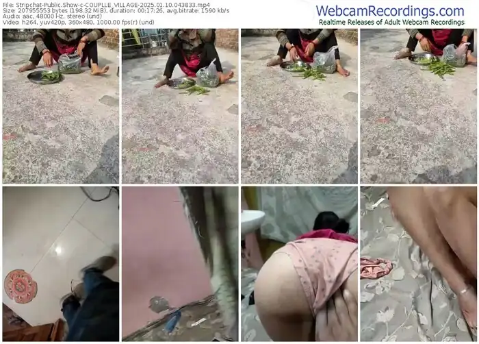 2025/01/10/stripchat-couplle_village-04-38-33