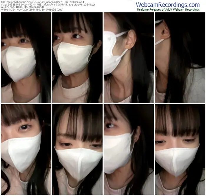 2025/01/10/stripchat-irohani_usagi-19-18-19