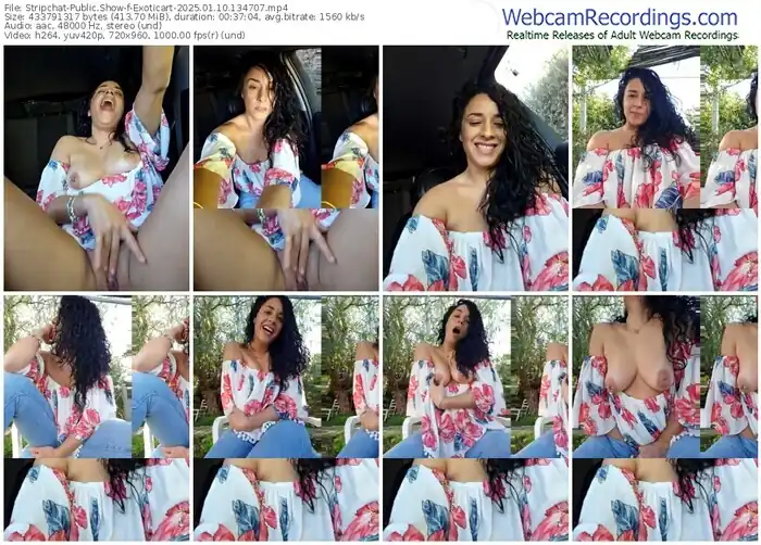 2025/01/10/stripchat-exoticart-13-47-07