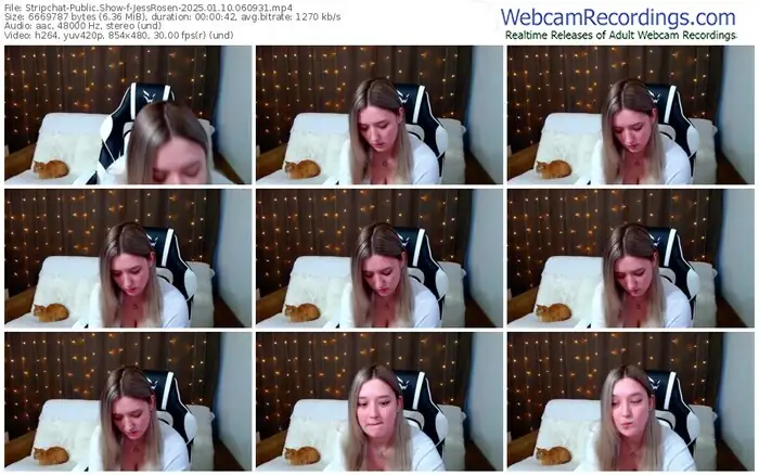 2025/01/10/stripchat-jessrosen-06-09-31