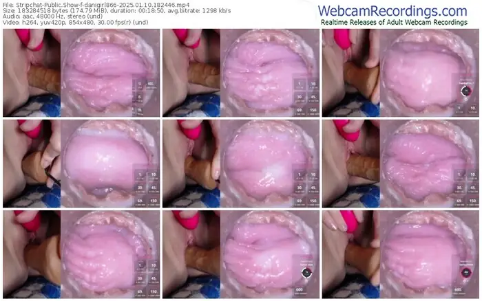 2025/01/10/stripchat-danigirl866-18-24-46