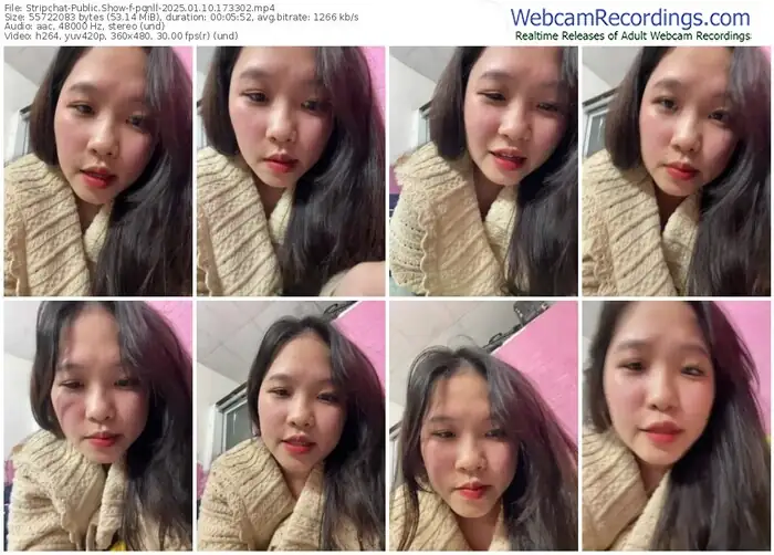 2025/01/10/stripchat-pqnll-17-33-02