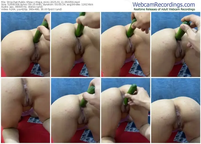 2025/01/11/stripchat-maya_mimi-05-00-59