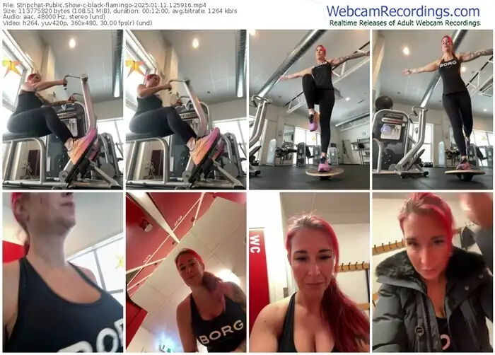 2025/01/11/stripchat-black-flamingo-12-59-16