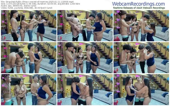 2025/01/11/stripchat-secret-of-roomies-13-39-30