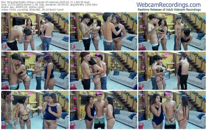 2025/01/11/stripchat-secret-of-roomies-13-41-29