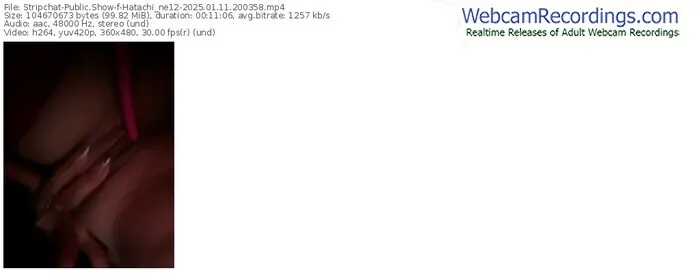 2025/01/11/stripchat-hatachi_ne12-20-03-58