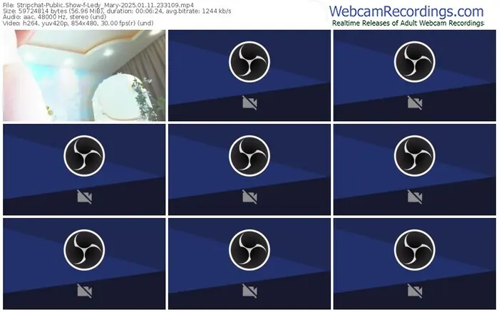 2025/01/11/stripchat-ledy_mary-23-31-09