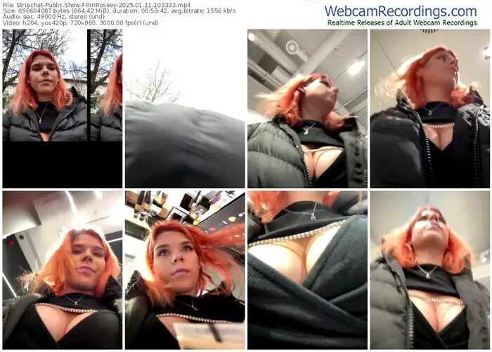 2025/01/11/stripchat-ririroseey-10-33-33