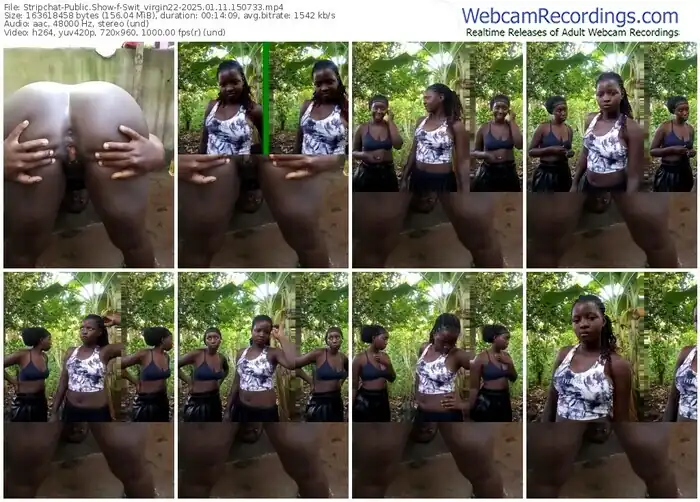 2025/01/11/stripchat-swit_virgin22-15-07-33