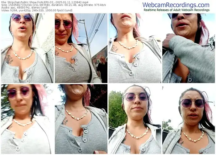 2025/01/11/stripchat-valery-03_-12-38-42