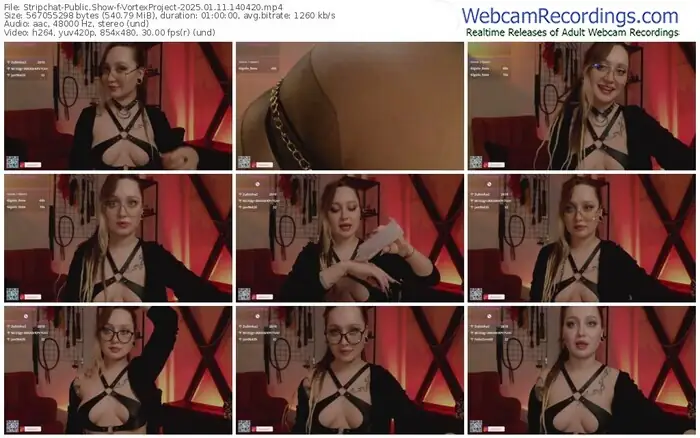 2025/01/11/stripchat-vortexproject-14-04-20