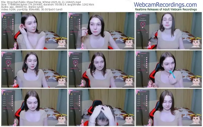 2025/01/11/stripchat-wise_whiter-16-44-15