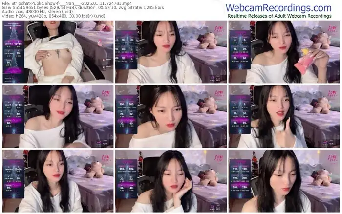 2025/01/11/stripchat-___nari___-22-47-31