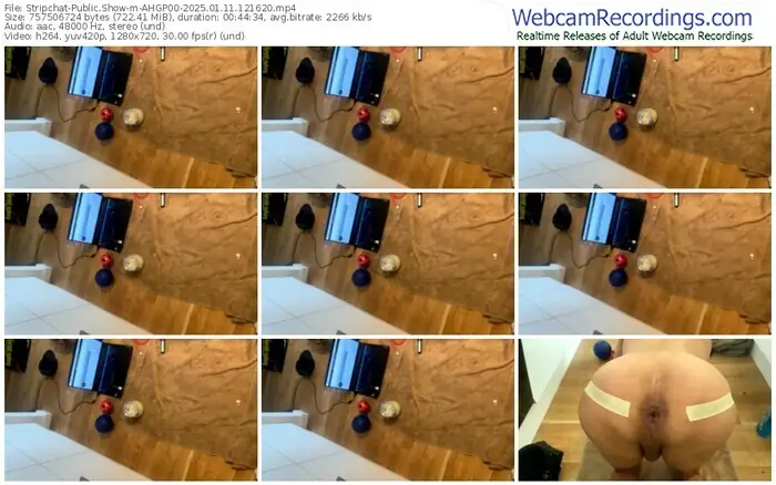 2025/01/11/stripchat-ahgp00-12-16-20