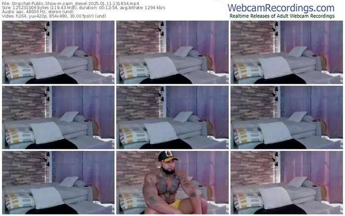 2025/01/11/stripchat-zaiin_diesel-13-18-34