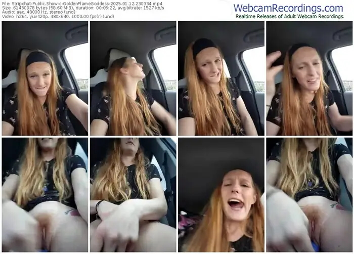 2025/01/12/stripchat-goldenflamegoddess-23-03-34