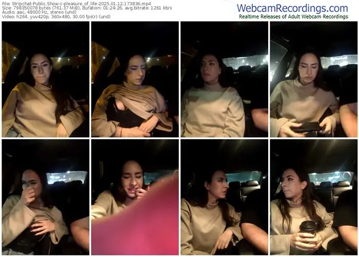 2025/01/12/stripchat-pleasure_of_life-17-38-36