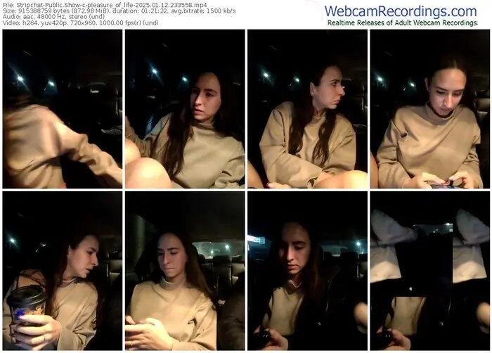 2025/01/12/stripchat-pleasure_of_life-23-35-58