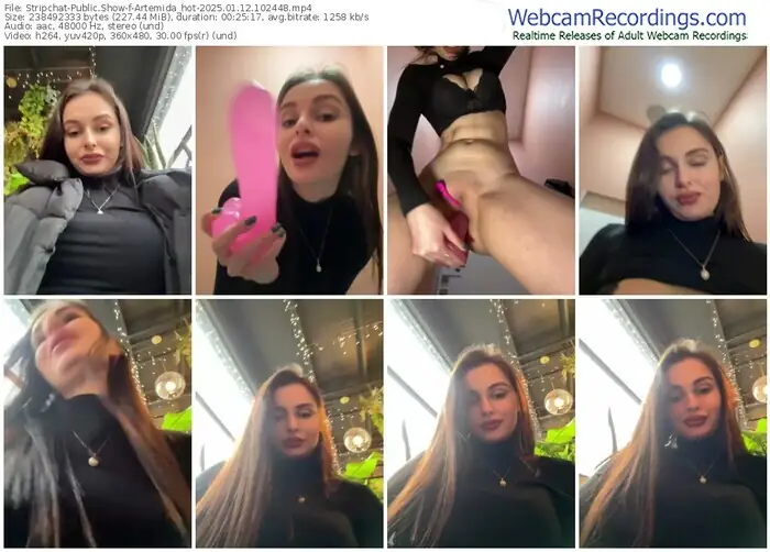 2025/01/12/stripchat-artemida_hot-10-24-48