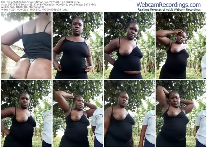 2025/01/12/stripchat-broan_me-15-04-04